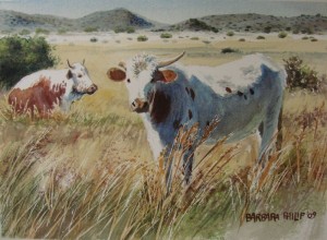 ngunis,3-horns ngunis,3-horns