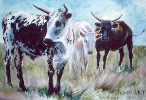 Rooipoort-nguni-sketch Rooipoort-nguni-sketch