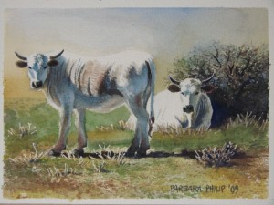 white-ngunis white-ngunis