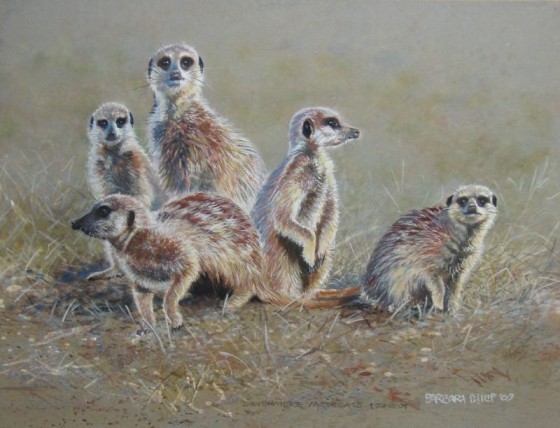 Big meercats on grey Watercolour & Gouache on Grey Canson Pastel paper. 620 x 430 mm.