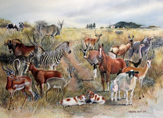 Eighteen Animals Required. 23june10